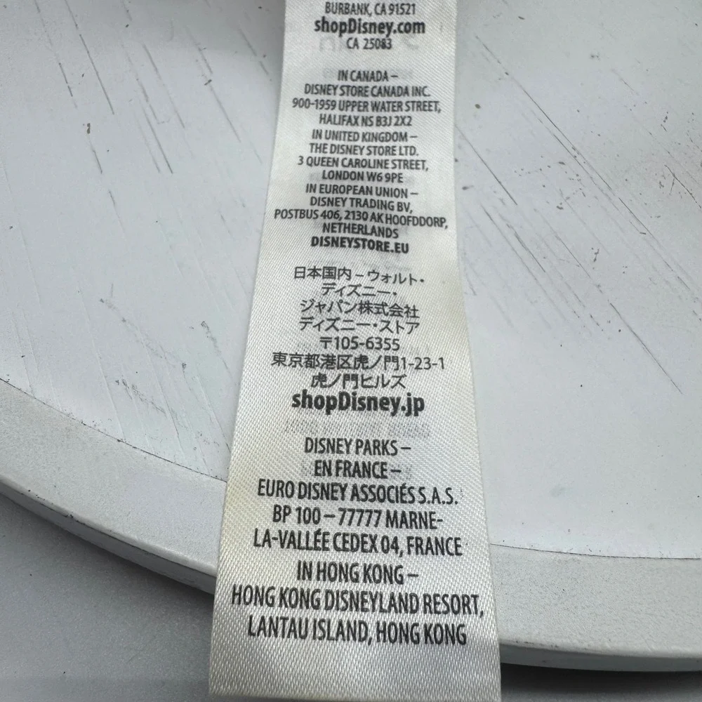 Disney parks authentic